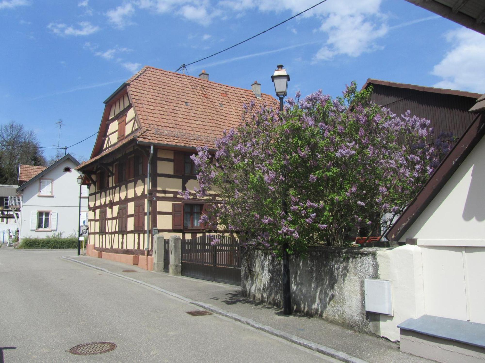 Logis Hotel Restaurant Au Lion Rouge Bartenheim Zewnętrze zdjęcie